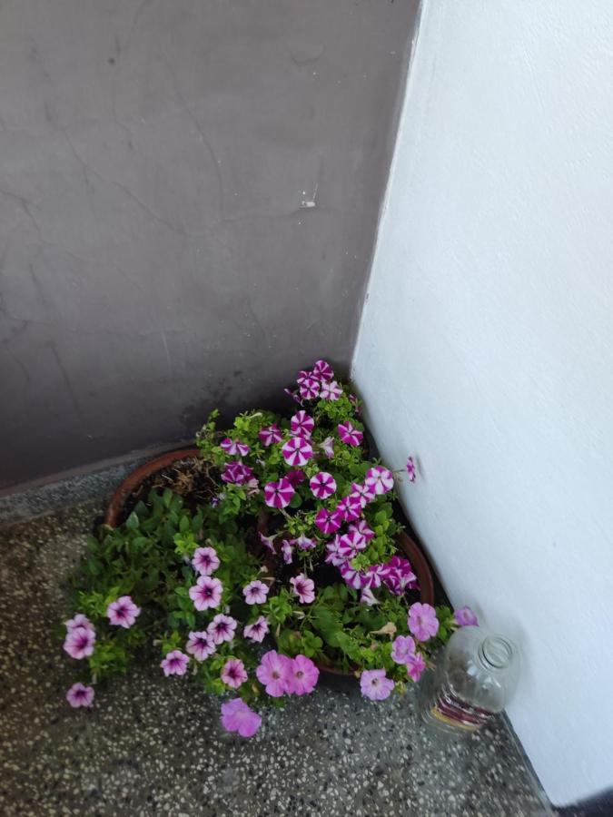 Къща За Гости Хайк Beli Osŭm Exteriör bild