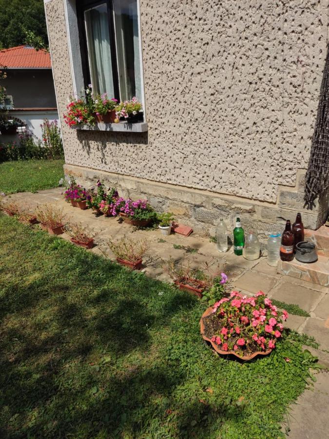 Къща За Гости Хайк Beli Osŭm Exteriör bild